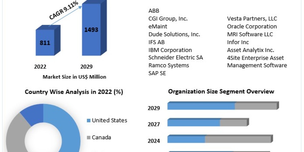 North America Enterprise Asset Management Market Growth Prospects, Future Industry Landscape 2029