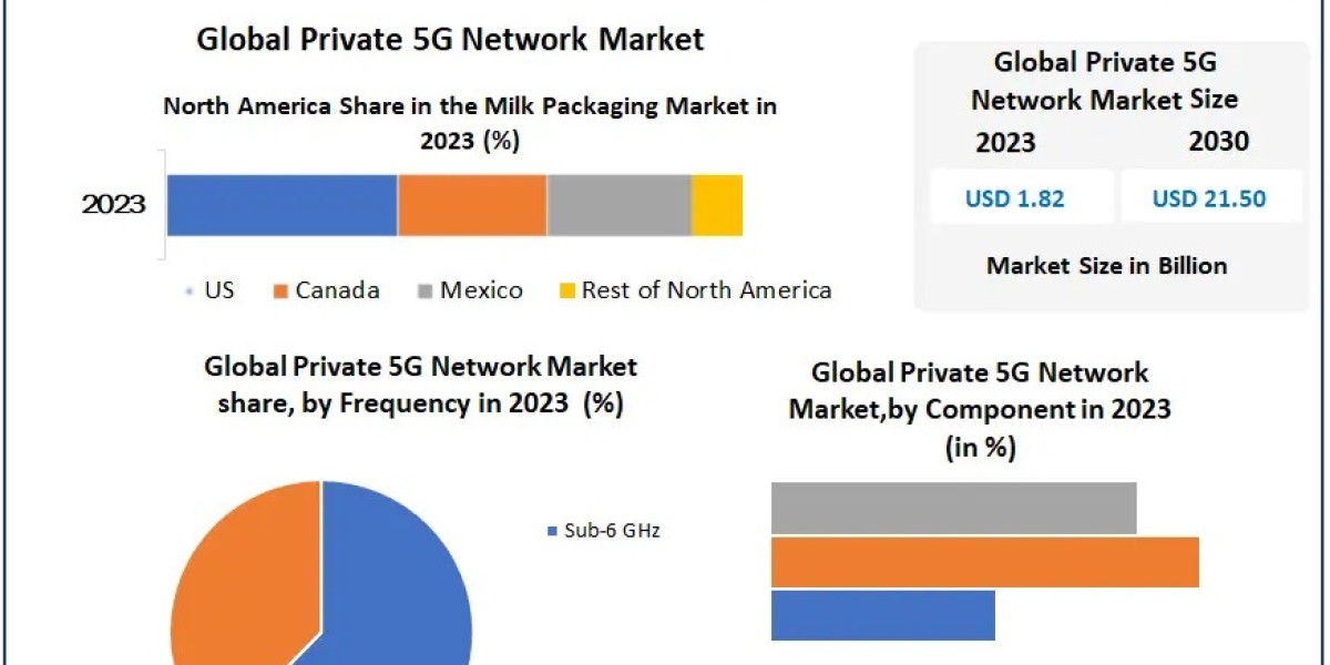 Private 5G Network Market Share and Trends 2030