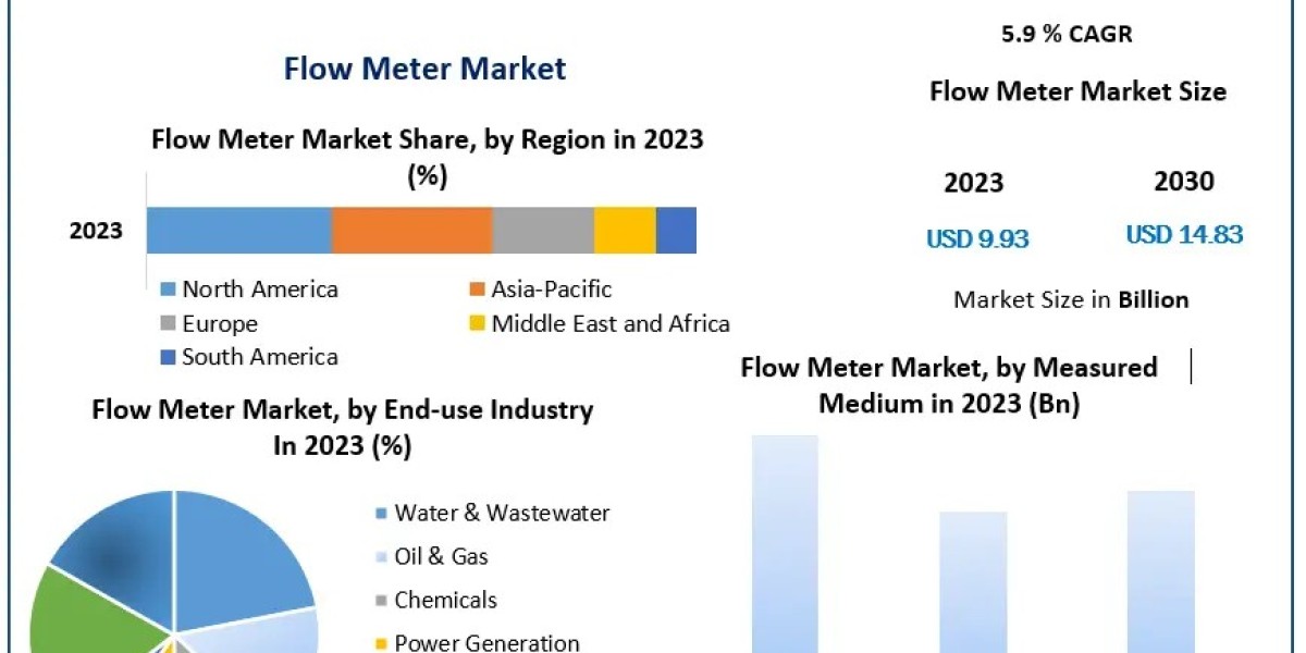 Flow Meter Market 2063 Vision: Industry Outlook, Size, and Projected Growth 2024-2030