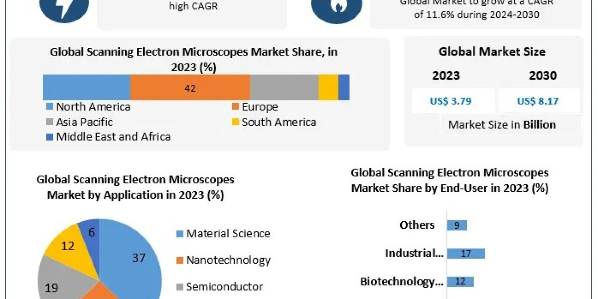 Scanning Electron Microscopes Market Study, Scale, Key Influences, and Anticipated Developments