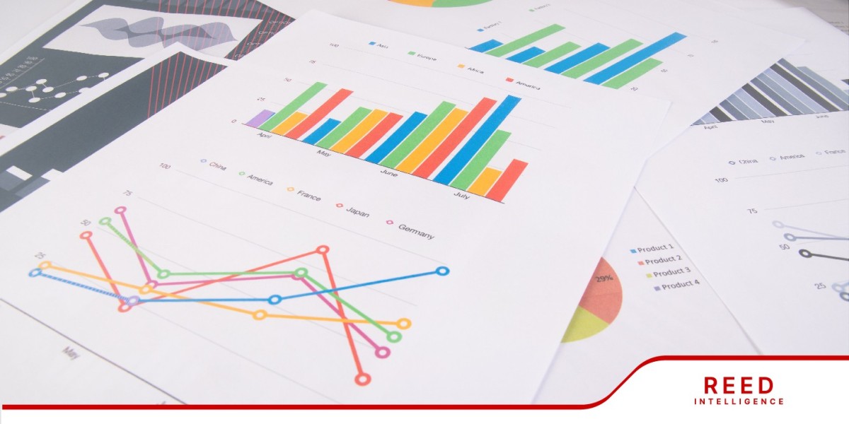 Mallets and Sledgehammers Market Share, Growth and Forecast by 2032 | Reed Intelligence