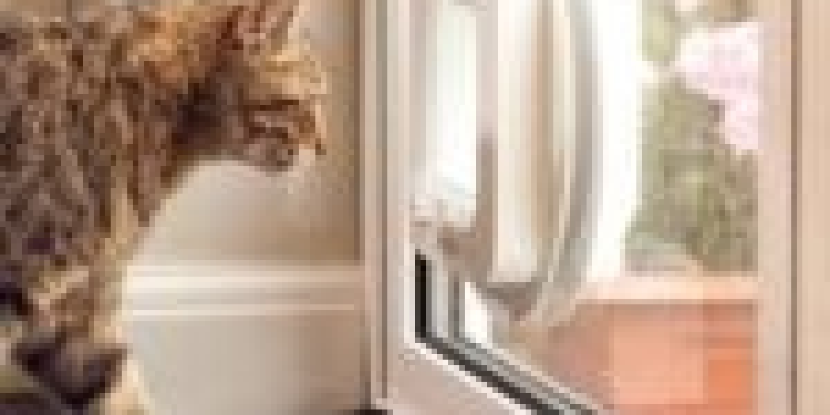12 Companies That Are Leading The Way In Cat Flap Installer Near Me