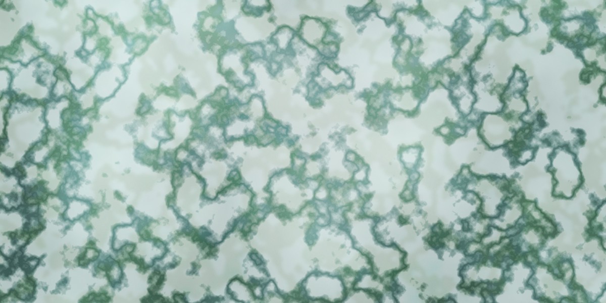 Exploring the Elite: A Comprehensive Look on The Best Private Jet Charter Companies