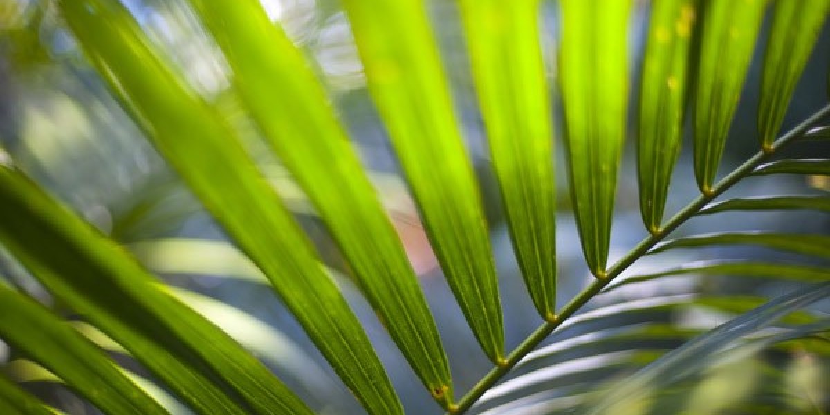 TOP 10 Best Online Casinos Australia For Real Money 2025