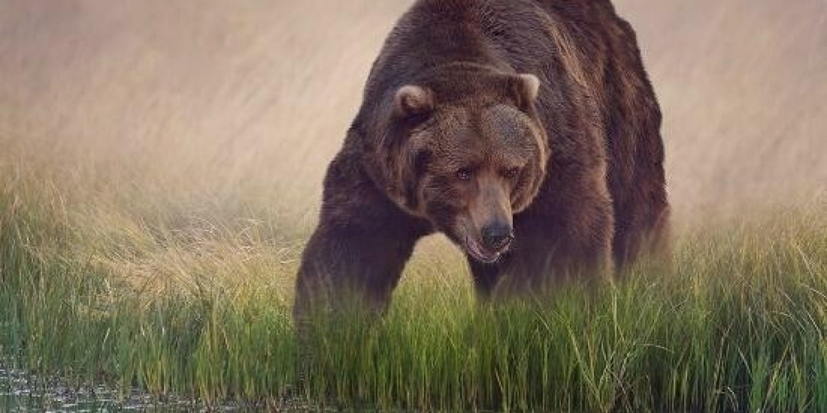 What is Foreclosure and how does it Work?