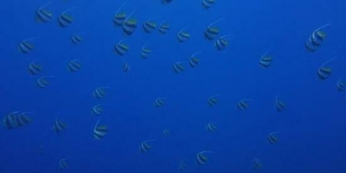 Notice to Vacate in Rental Properties