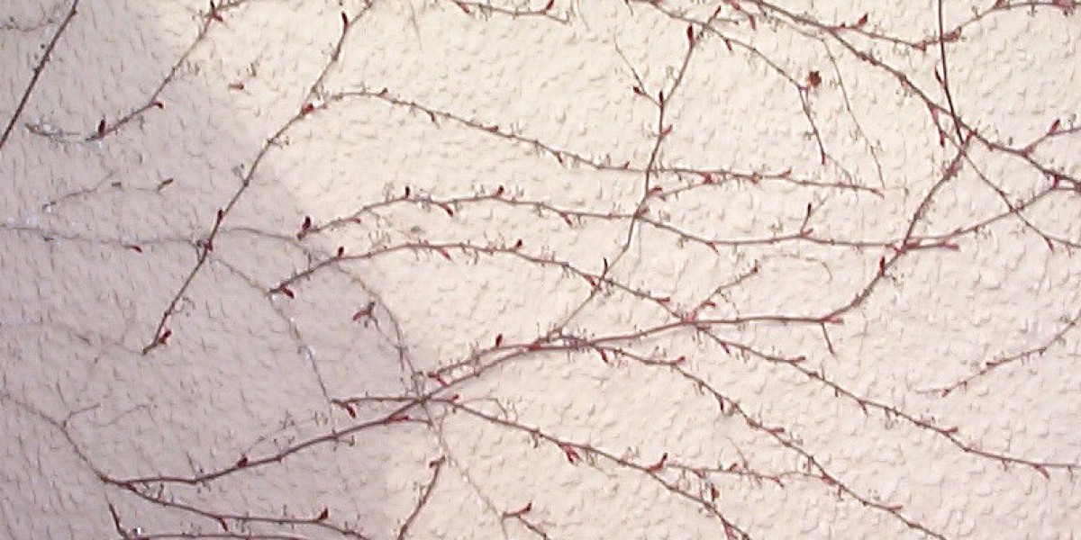 Sky Crown: Premier Online Casino in Australia Top Games, Bonuses & Fast Payouts