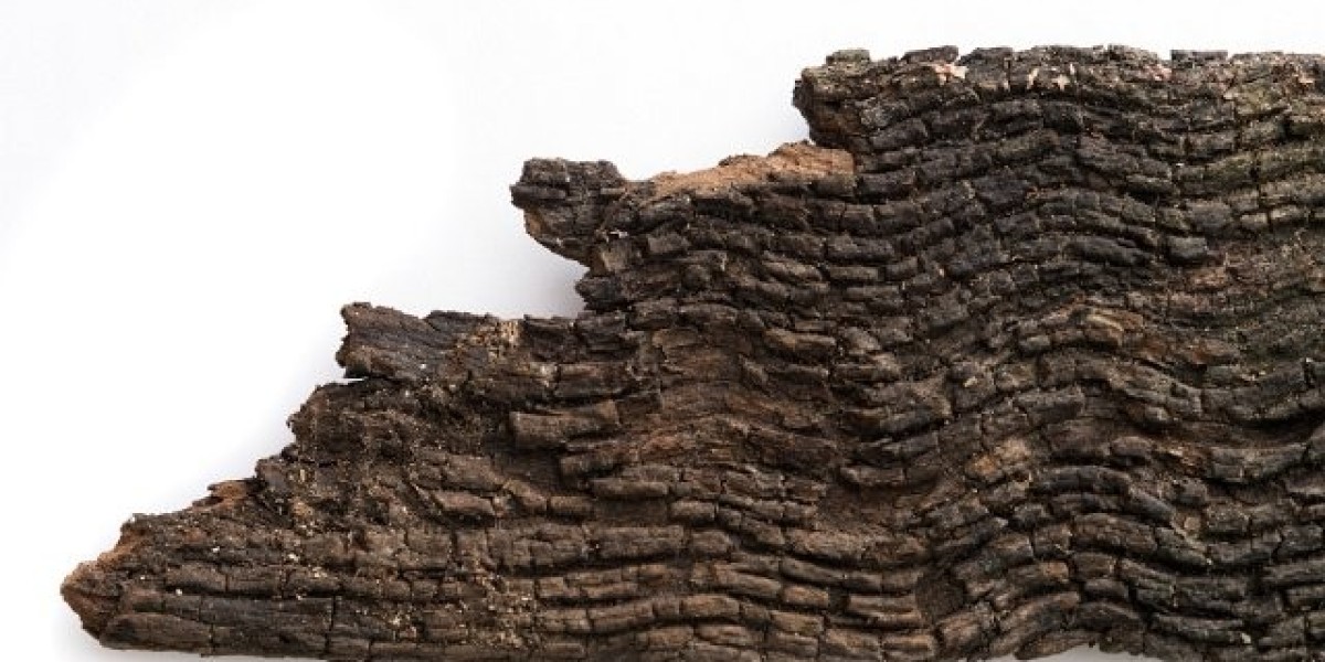 Best Online Casinos in 2025: Real Money Sites & Bonuses