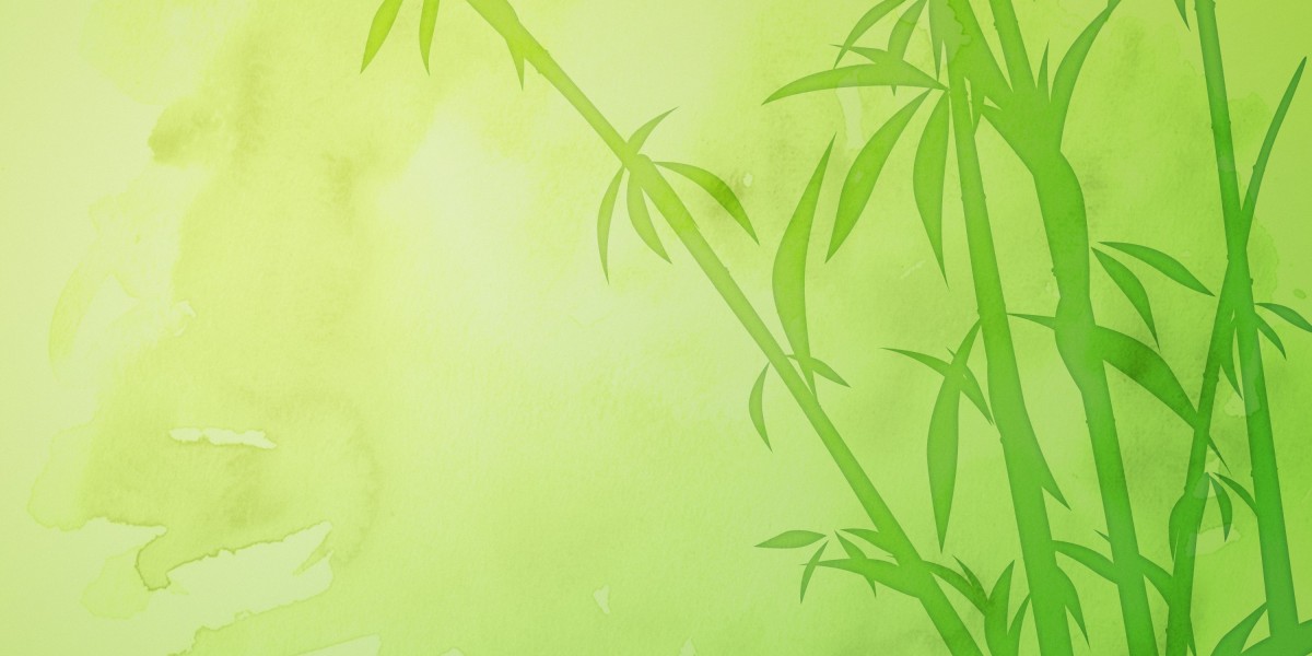 Emergency Loans No Credit Check: A Monetary Lifeline for The Unbanked