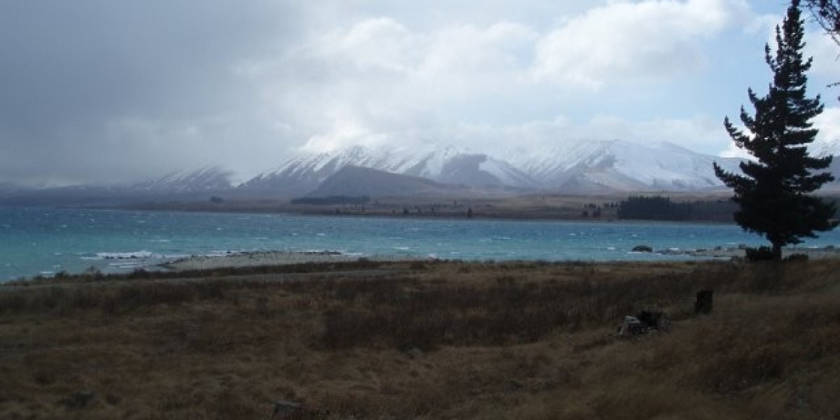 Star Entertainment Kicked Off ASX Over Missing Financial Results