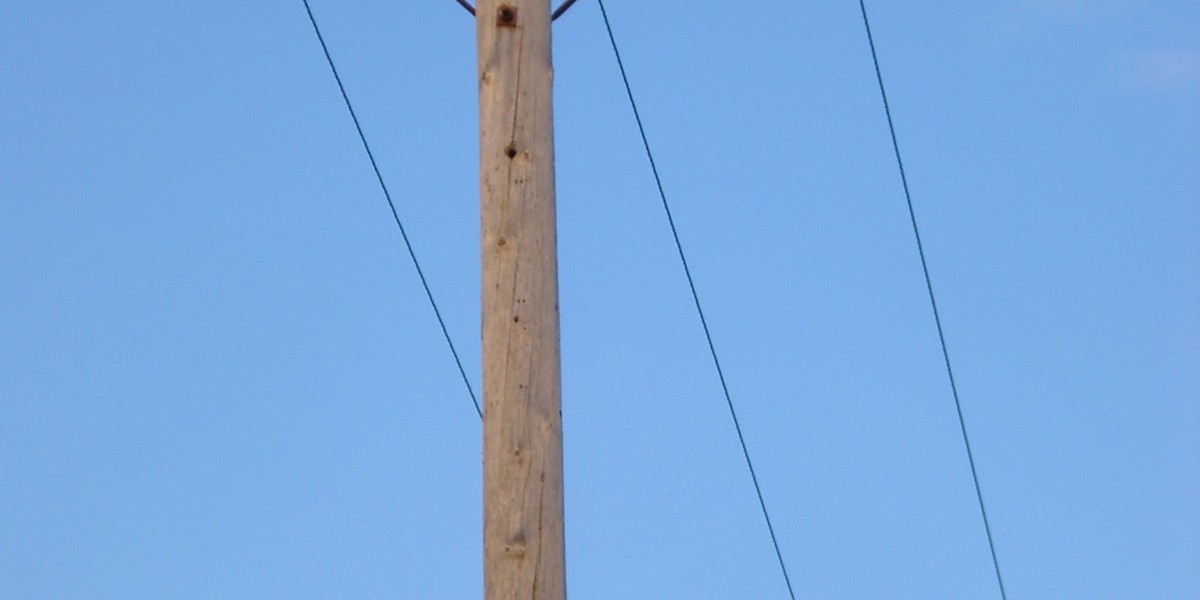 Casino Games Online 2025 Slots, Table Games & Jackpots