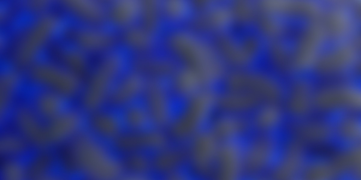 Enchanting Ventures in the Realm of WS Casino