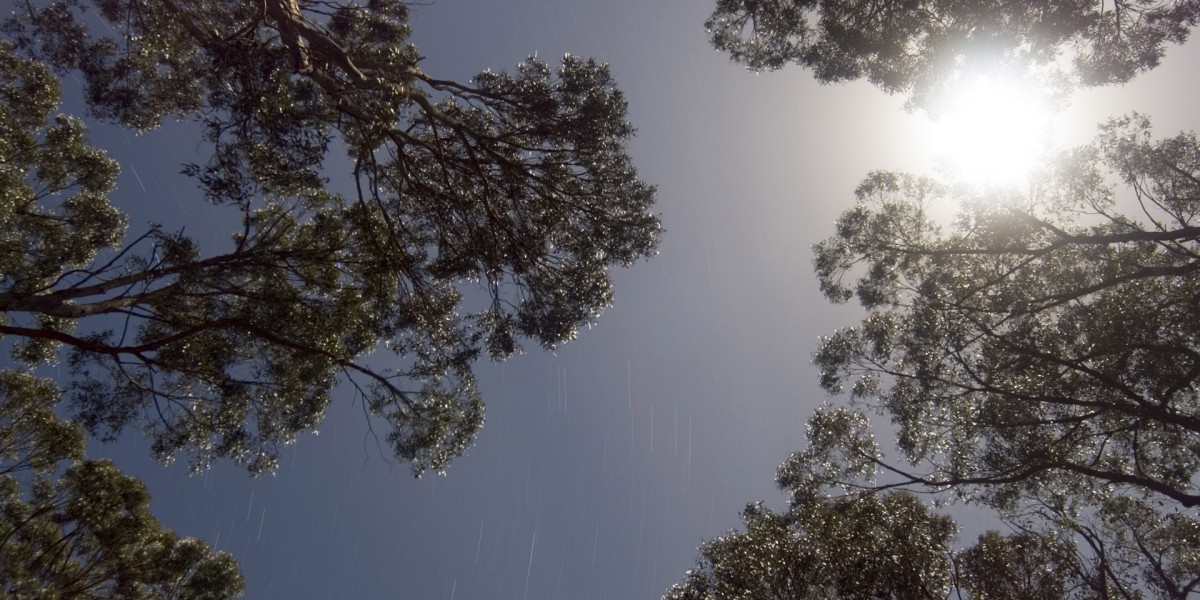 10 Best New Online Casinos for Real Money Play in 2025