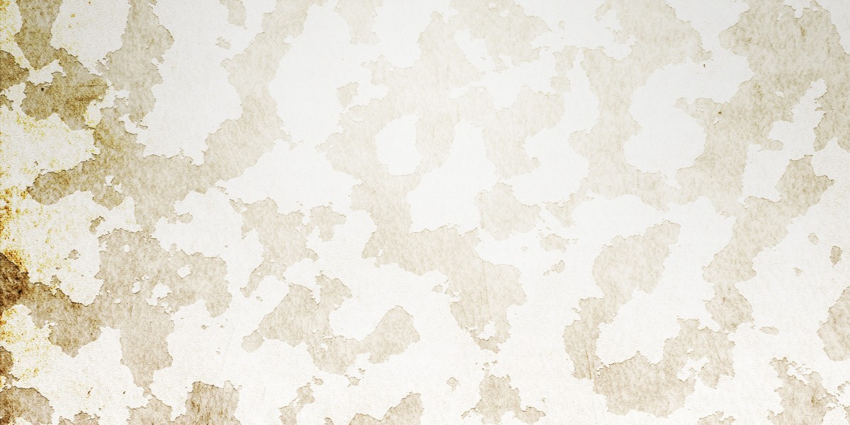 The Evolution and Future Of Private Jet Booking: A Comprehensive Guide