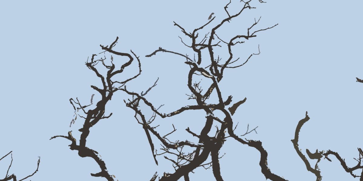 Deluxe King Hotel Room Gold Coast Hotel & Casino in Las Vegas, Nevada