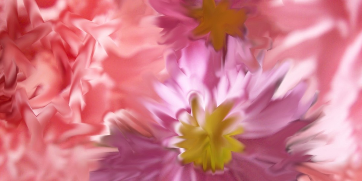 Top Slots and Exclusive Bonus Deals in Canada