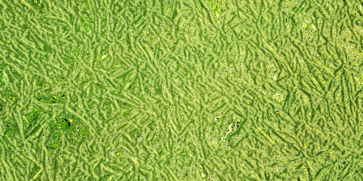 Best Places To Buy Gold Bullion: A Complete Guide