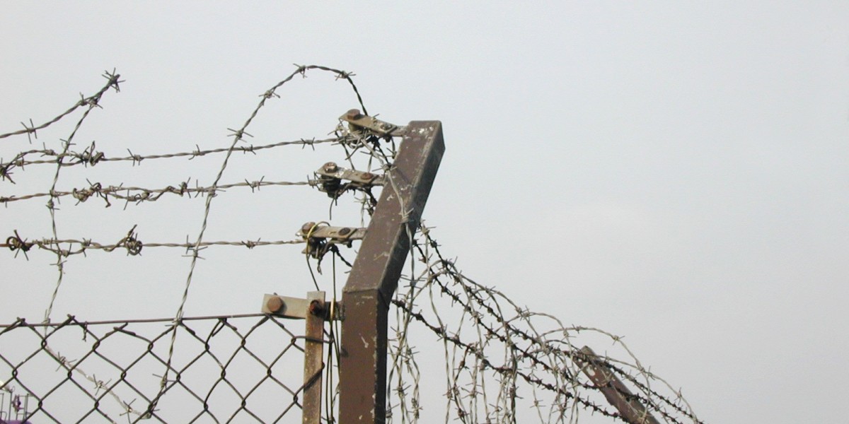 Meet the People Behind the Play