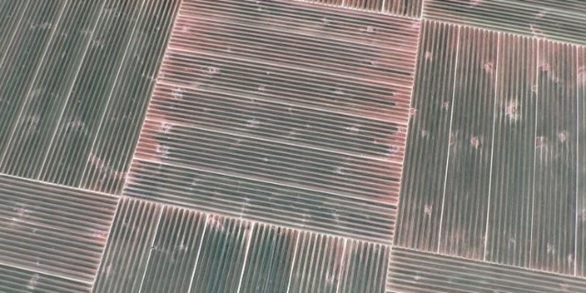 Best Online Live Casinos 2025 Play at the Top US Live Casinos