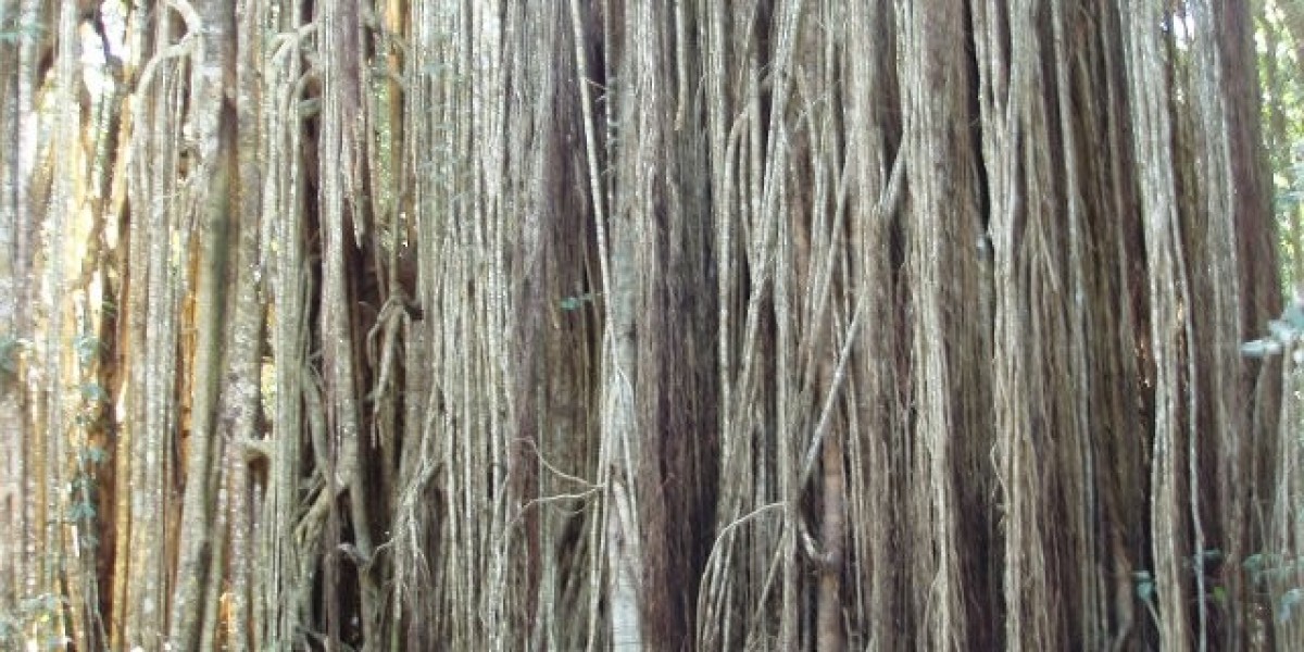 Top New Online Casinos In Australia November 2025