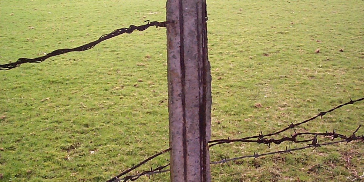 Star Entertainment tumbles on fresh warning, ASX rises, Trump meme coin price swings as it happened